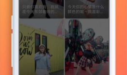 最火短视频网站,揭秘最火平台的魅力与影响力